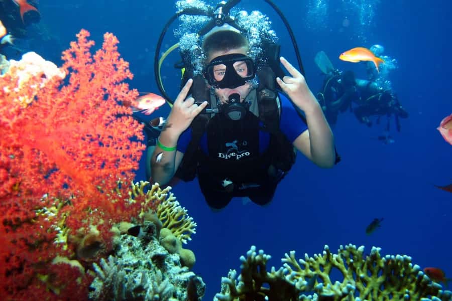 From Sharm: Ras Mohammed snorkeling cruise & optional diving - The return to Sharm and the long-day question