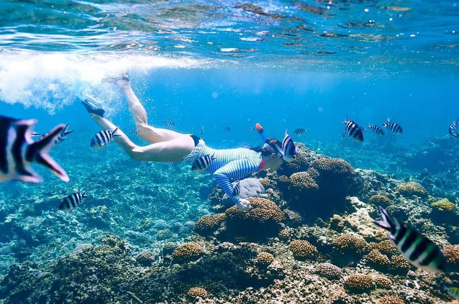 From Sharm: Ras Mohammed snorkeling cruise & optional diving - The first snorkeling stop at Ras Mohammed