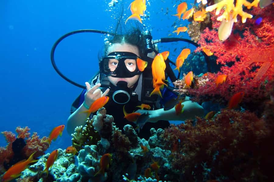 From Sharm: Ras Mohammed snorkeling cruise & optional diving - Reef viewing and the possible White Island visit