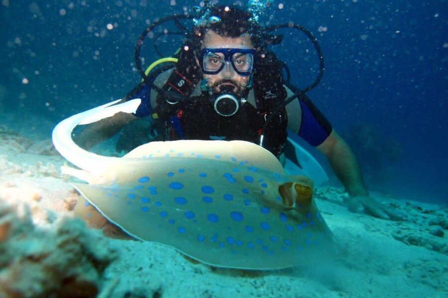From Sharm: Ras Mohammed snorkeling cruise & optional diving - Lunch on the deck
