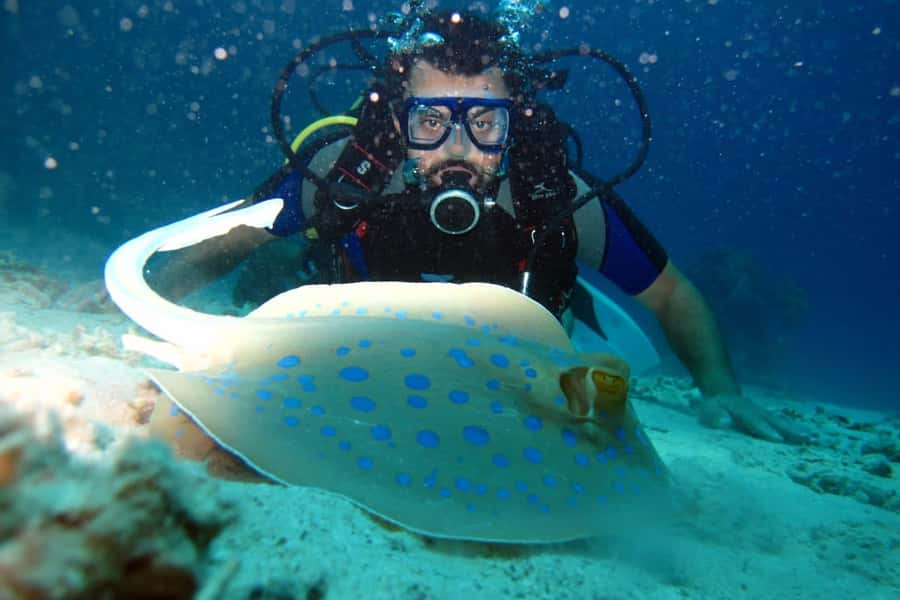 From Sharm: Ras Mohammed snorkeling cruise & optional diving - The second snorkeling stop