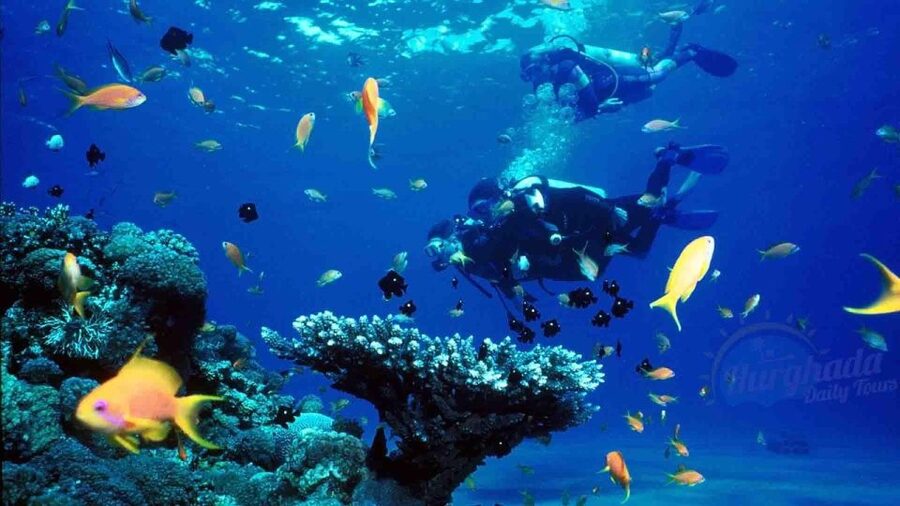From Sharm: Ras Muhammed & White Island By Boat & intro Dive - Guides, safety, and the feel on board