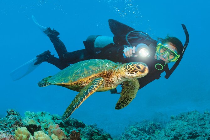 From Side, Alanya: Scuba Diving With 2 Time Dive & Lunch - Key points at a glance