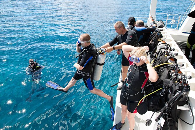 From Side, Alanya: Scuba Diving With 2 Time Dive & Lunch - What your $45.38 covers