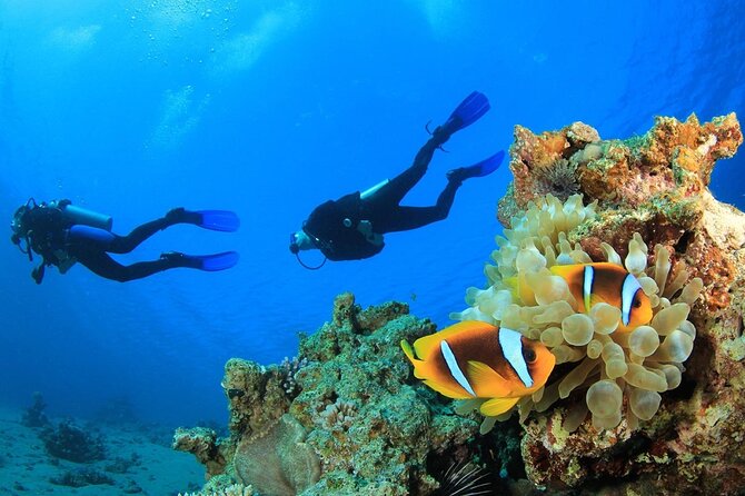 From Side, Alanya: Scuba Diving With 2 Time Dive & Lunch - Lunch, swimming, and a pause in the sun