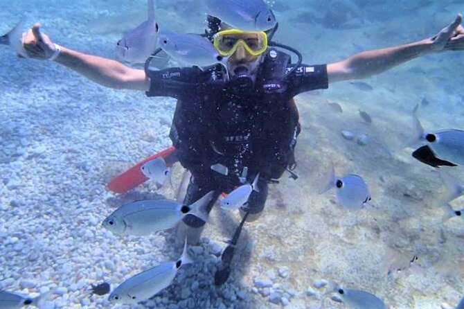 From Side, Alanya: Scuba Diving With 2 Time Dive & Lunch - Second session at 7 to 8 meters