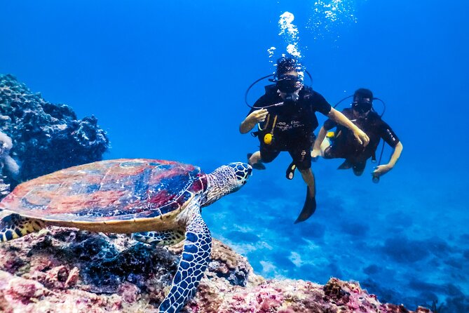 From Side, Alanya: Scuba Diving With 2 Time Dive & Lunch - The boat atmosphere and group size