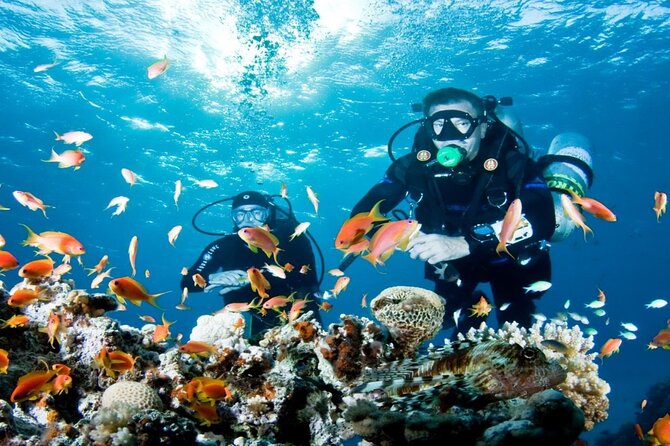 From Side, Alanya: Scuba Diving With 2 Time Dive & Lunch - Leaving Side or Alanya at 8:00 am