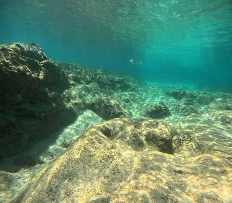 Fuerteventura: First Scuba Experience – Calm 1:1 Dive - What the 1:1 format really changes