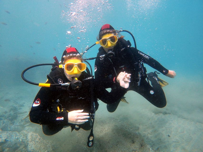 Fuerteventura: Introduction to Scuba Diving - Key points to know before you book