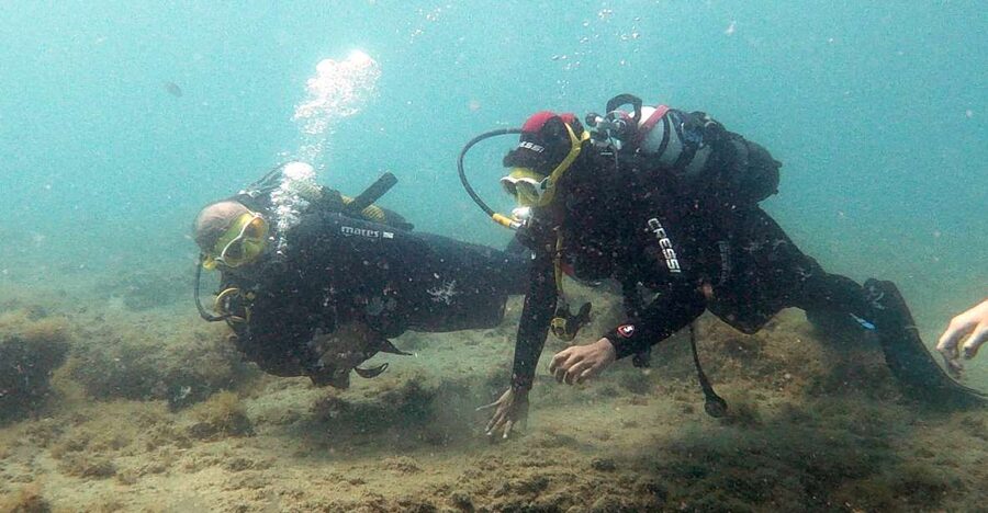 Fuerteventura: Introduction to Scuba Diving - A gentle first step into Fuerteventura’s underwater world