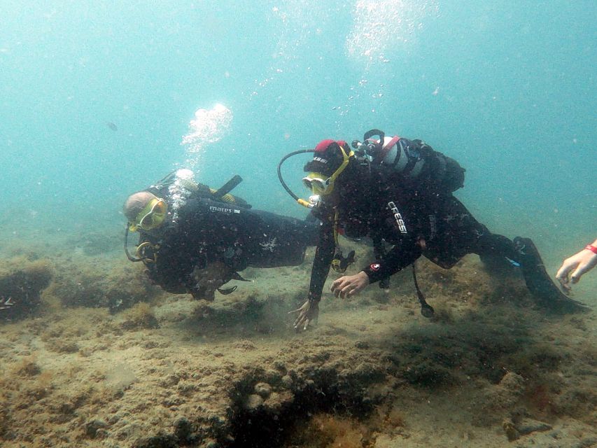 Fuerteventura: Introduction to Scuba Diving - Who should book this experience
