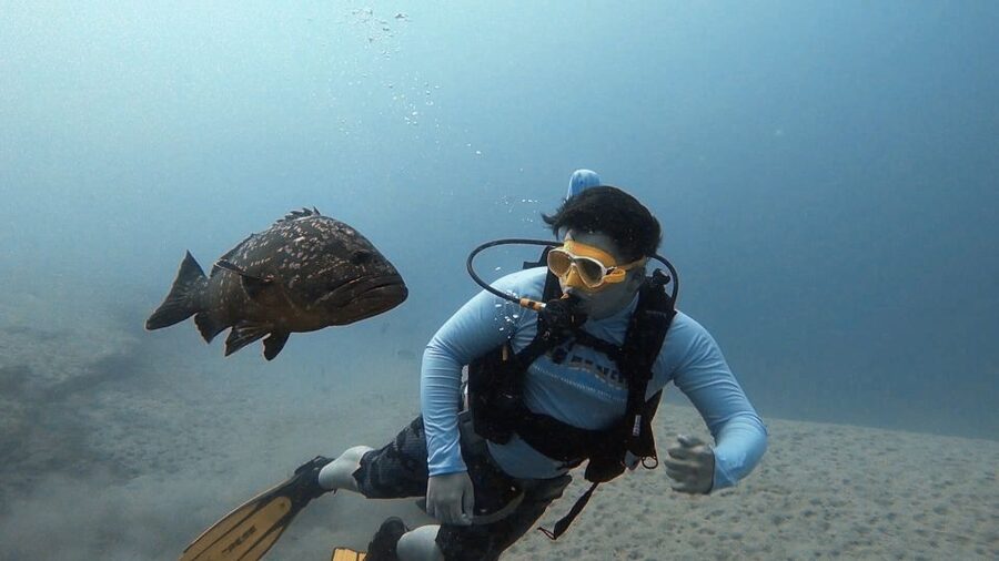 Fuerteventura: Introduction to Scuba Diving - From southern hotels to La Lajita