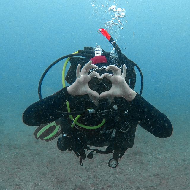 Fuerteventura: Introductory Dive in La Lajita with Pickup - Your time below the surface