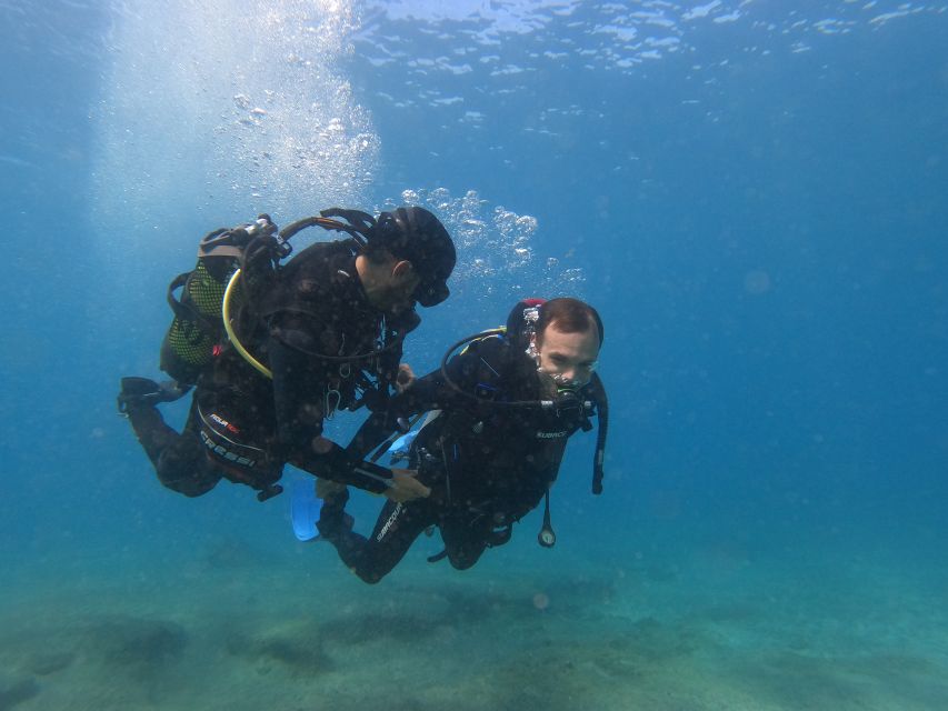 Fuerteventura: Introductory Dive in La Lajita with Pickup - Hotel pickup from Fuerteventura’s southern resorts