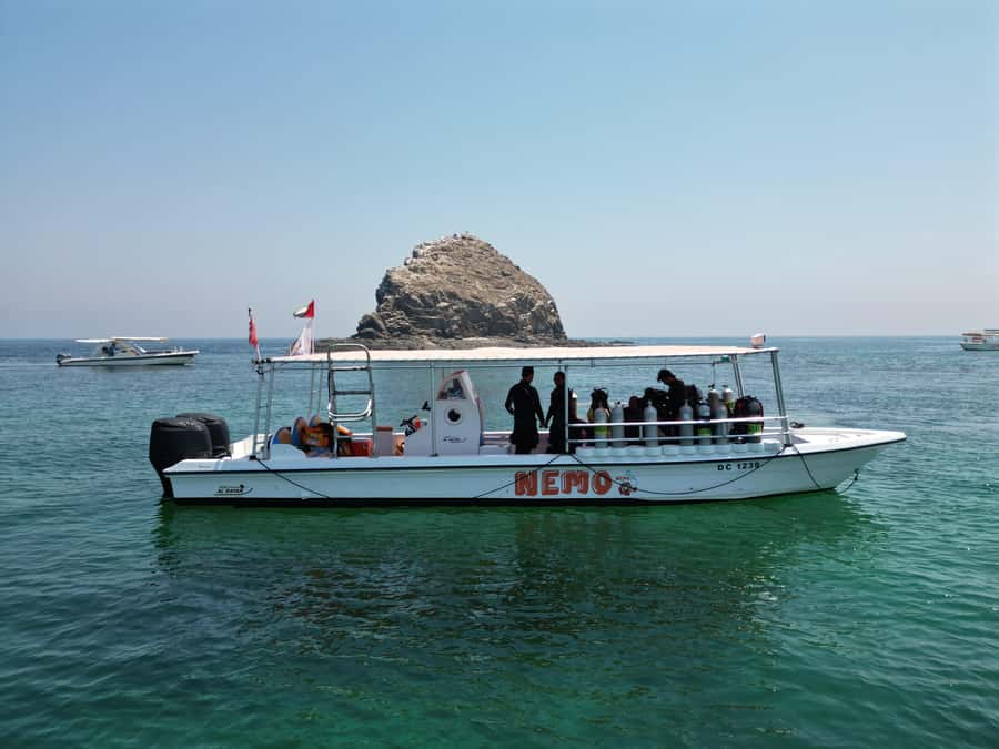 Fujairah: 2 Fun Dive Experience for Certified Divers - What you may see below the surface