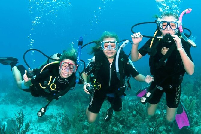 Fujairah: PADI Basic Scuba Diver Course - Key points to know before booking