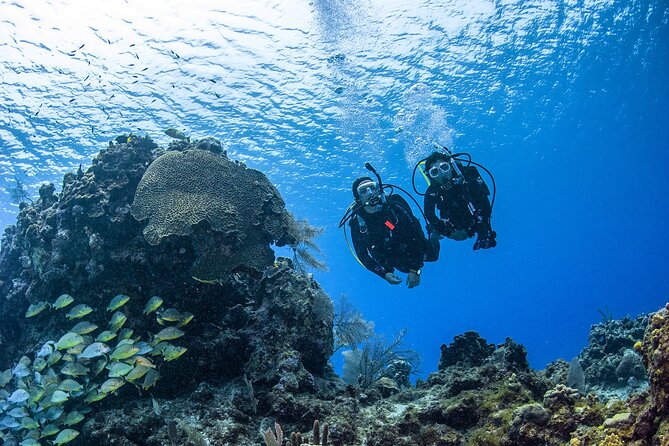 Fujairah: PADI Open Water Diver Course - Key points to know before booking