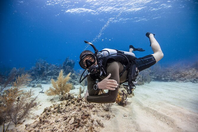 Fujairah: PADI Open Water Diver Course - Day one: build confidence before entering open water