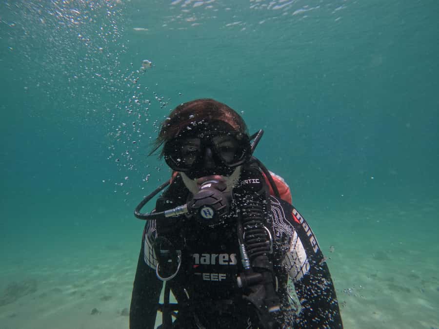 Fujairah: Try Diving Experience with underwater photos - What happens during the two hours
