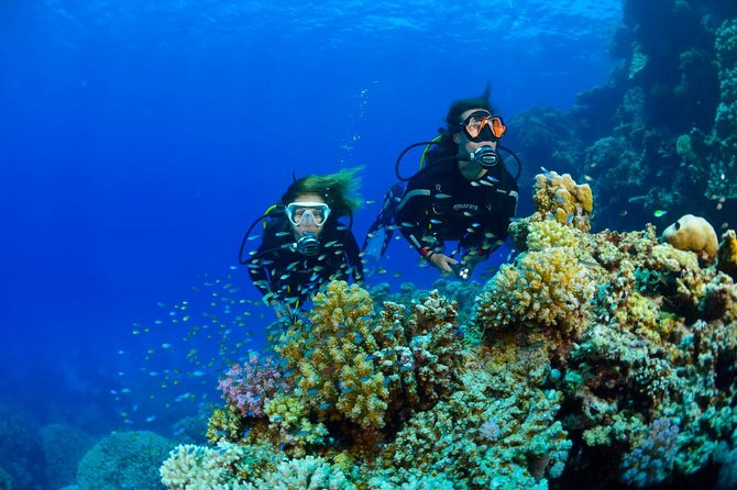 Full-Day Beginner Scuba Course with Private Tuition, Racha Yai - Your first underwater session at Koh Racha Yai