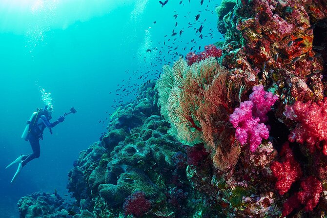 Full-Day Beginner Scuba Course with Private Tuition, Racha Yai - How private is the instruction?
