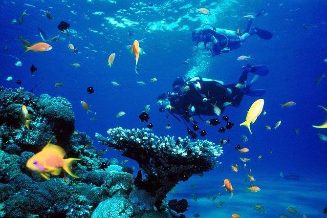 Full-Day Beginner Scuba Course with Private Tuition, Racha Yai - Breakfast, equipment, and the ride to Racha Yai