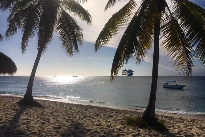 Full-Day Catalina Island Scuba Diving Tour from La Romana - What the $123.25 price really covers