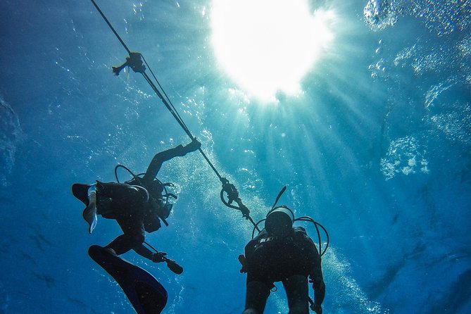 Full-Day Catalina Island Scuba Diving Tour from La Romana - Equipment, fitness, and health rules