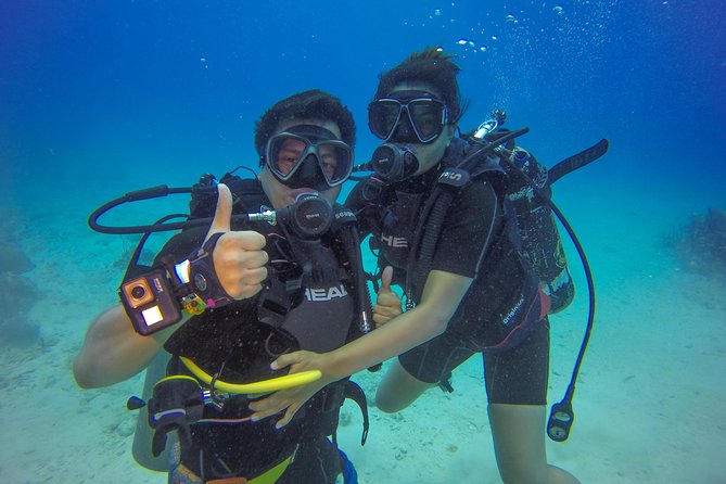 Full-Day Catalina Island Scuba Diving Tour from Punta Cana - Two Reef Sites, One Long Caribbean Day