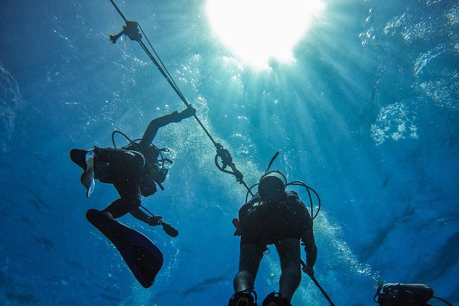 Full-Day Catalina Island Scuba Diving Tour from Punta Cana - The Aquarium: Shallower Water and Easier Reef Viewing