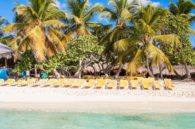 Full-Day Catalina Island Scuba Diving Tour from Punta Cana - Drinks and the Ride Back to Punta Cana