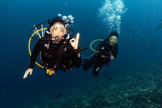 Full-Day Discover Scuba Diving Tour for Beginners in Tulamben - The Long Morning Ride From Bali Hotels