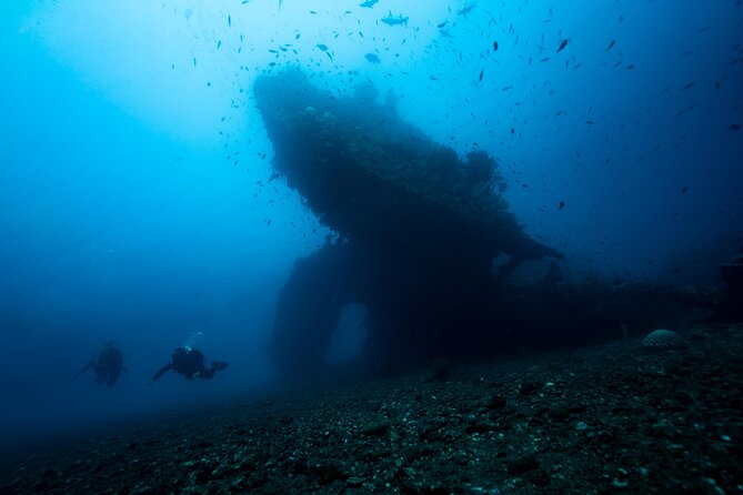 Full-Day Discover Scuba Diving Tour for Beginners in Tulamben - Who Should Book This Experience