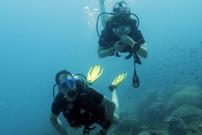 Full Day Diving Activity in Thailand with Lunch - What the $212.93 price really covers