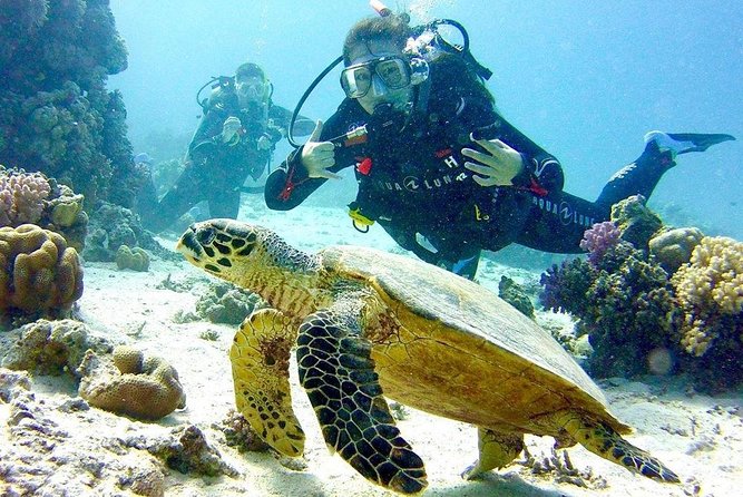 Full Day Diving for Beginners with Lunch in Hurghada - Key points at a glance
