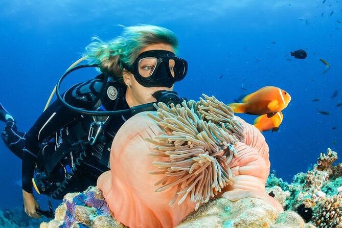 Full Day Diving for Beginners with Lunch in Hurghada - Lunch on board and the shape of the day