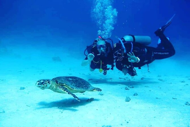 Full Day Diving for Beginners with Lunch in Hurghada - Coral, fish, and Red Sea scenery