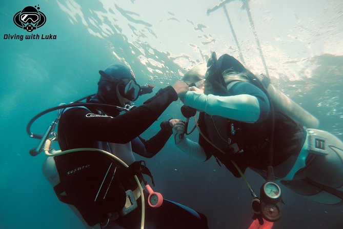 Full day diving with private guide, lunch drinks transportation - Two Red Sea sites in one private day