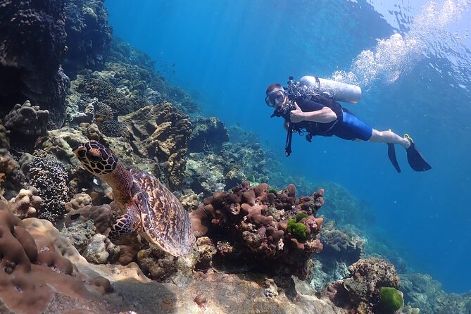 Full-Day Koh Phi Phi Scuba Diving Course from Phuket - Crew support and the small-group promise