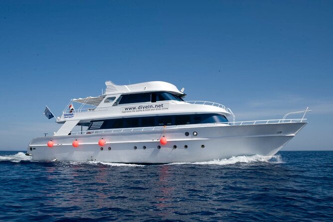Full Day on Boat with 2 Dives in the Marine Parks of Sharm - Surface time, snacks, and the second visit underwater