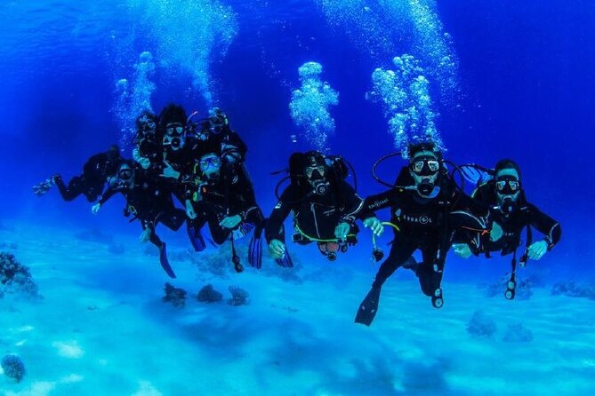 Full Day on Boat with 2 Dives in the Marine Parks of Sharm - The morning departure and first scuba descent