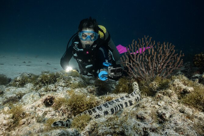 Full Day Private Scuba Diving in Espiritu Santo Island - Key points to know before booking