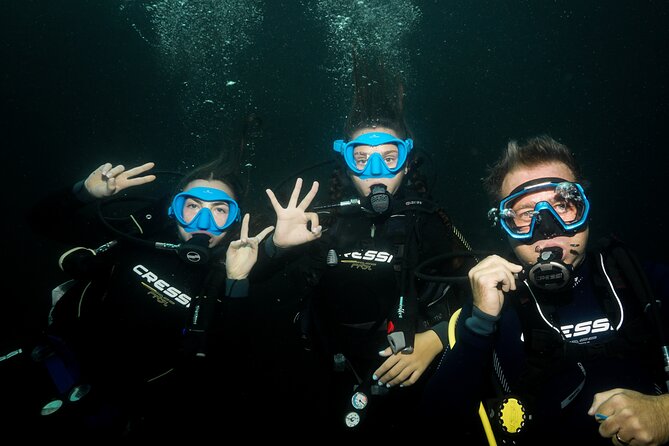 Full Day Private Scuba Diving in Espiritu Santo Island - Photos, comfort, and the human touch