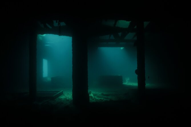 Full Day Private Scuba Diving in Espiritu Santo Island - Who should book this Espiritu Santo trip?