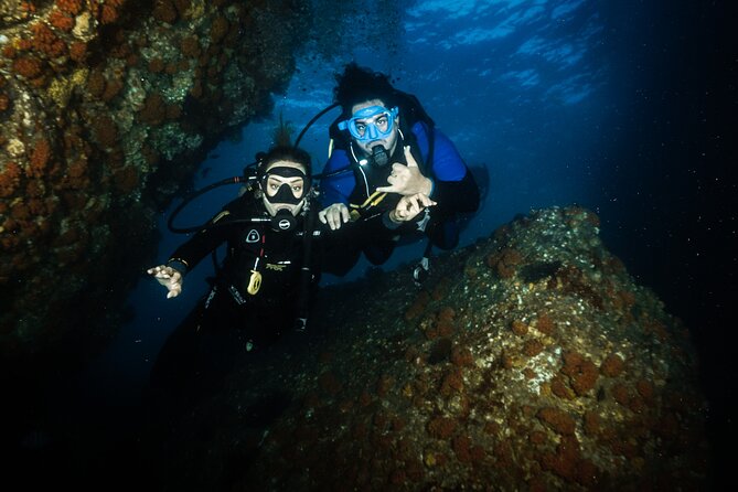 Full Day Private Scuba Diving in Espiritu Santo Island - La Lobera and Espiritu Santo’s wildlife