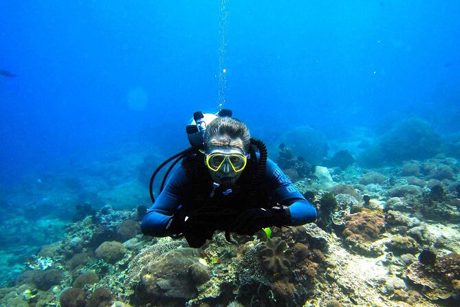 Full day Scuba diving and Snorkeling boat trip from Hurghada - Choosing snorkeling or scuba sessions