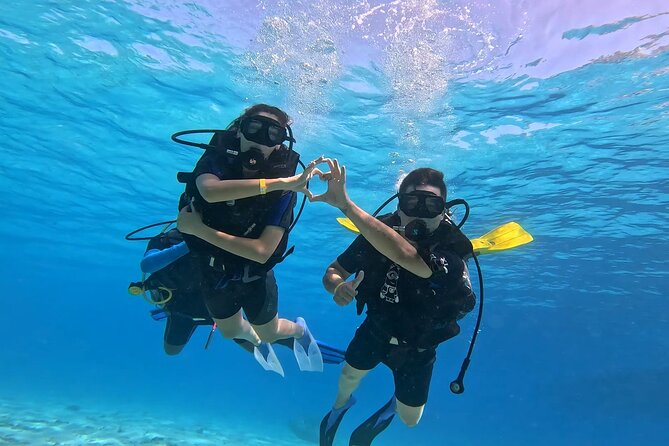 Full Day Scuba Diving Boat Trip for Professional Divers_Hurghada - What non-scuba participants can do