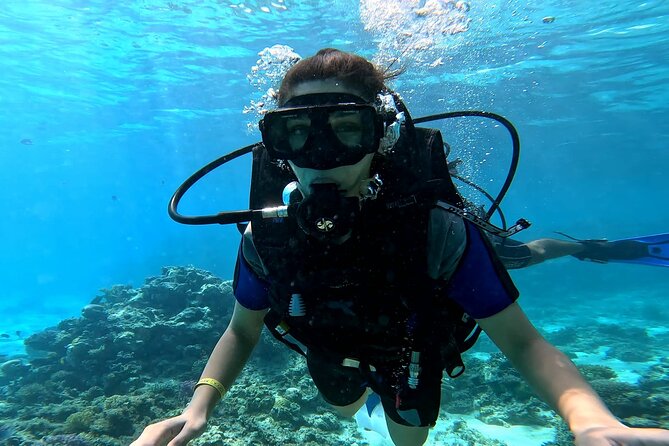 Full Day Scuba Diving Boat Trip for Professional Divers_Hurghada - Is $18 really good value?