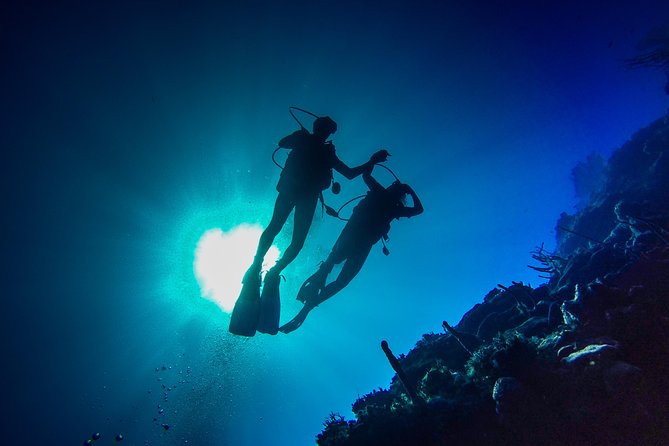 Full-Day Scuba Diving Catalina Island Tour from Bavaro - Key points before you book